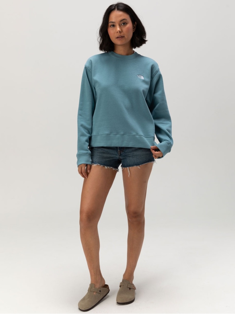 THE NORTH FACE Evolution Womens Crewneck Sweatshirt